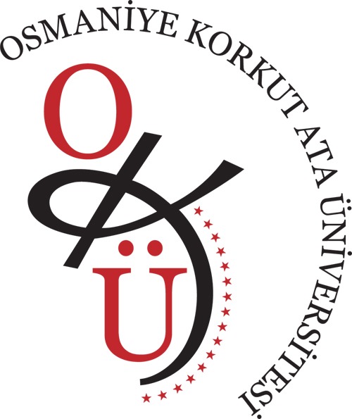 Üniversite 13